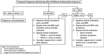 Pregnancy and Cardiomyopathy After Anthracyclines in Childhood